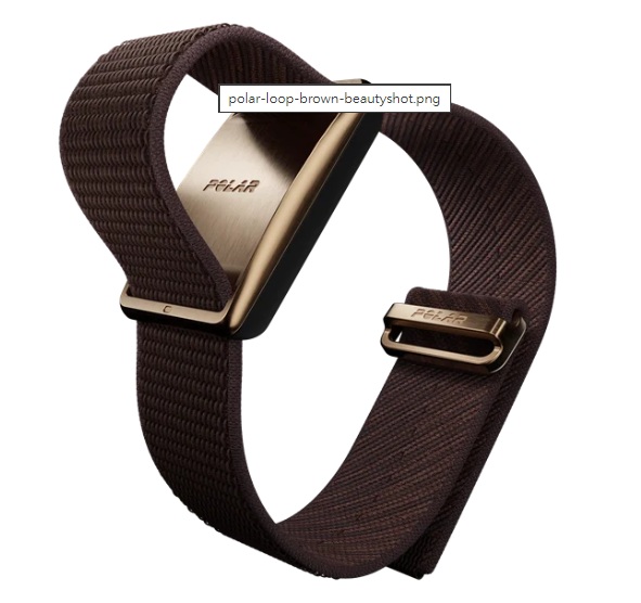 NOR399. Polar Loop and the nRF5340.jpg