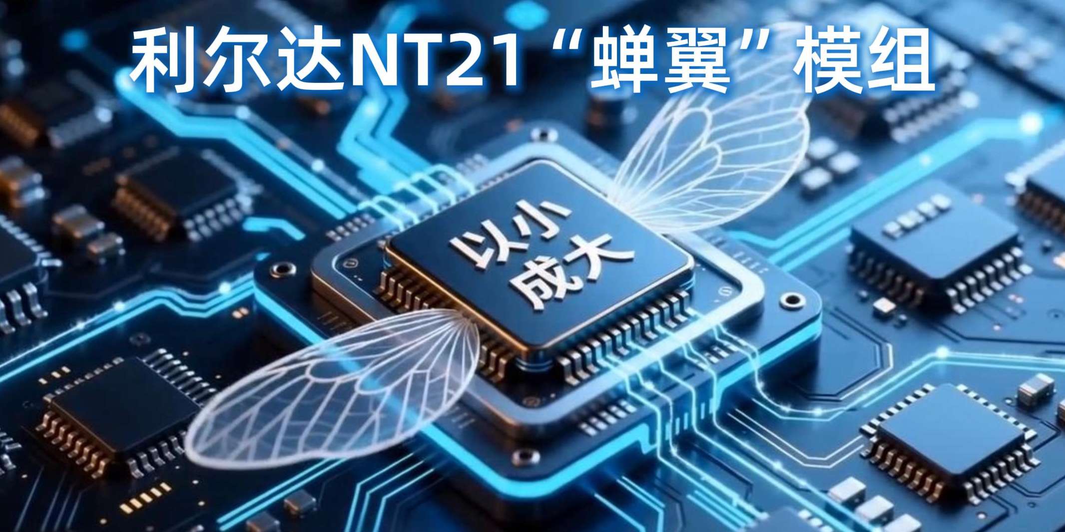 NT21 50mb-封面.jpg