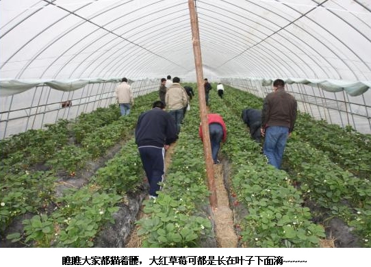 中国·永利yl23455(股份)有限公司-官方网站